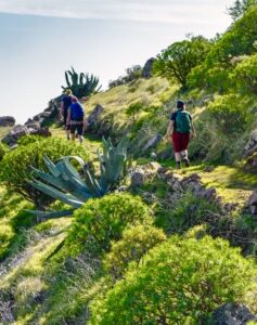 Body Wellness Activities